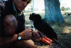 Richard
Hill - Field biologist
